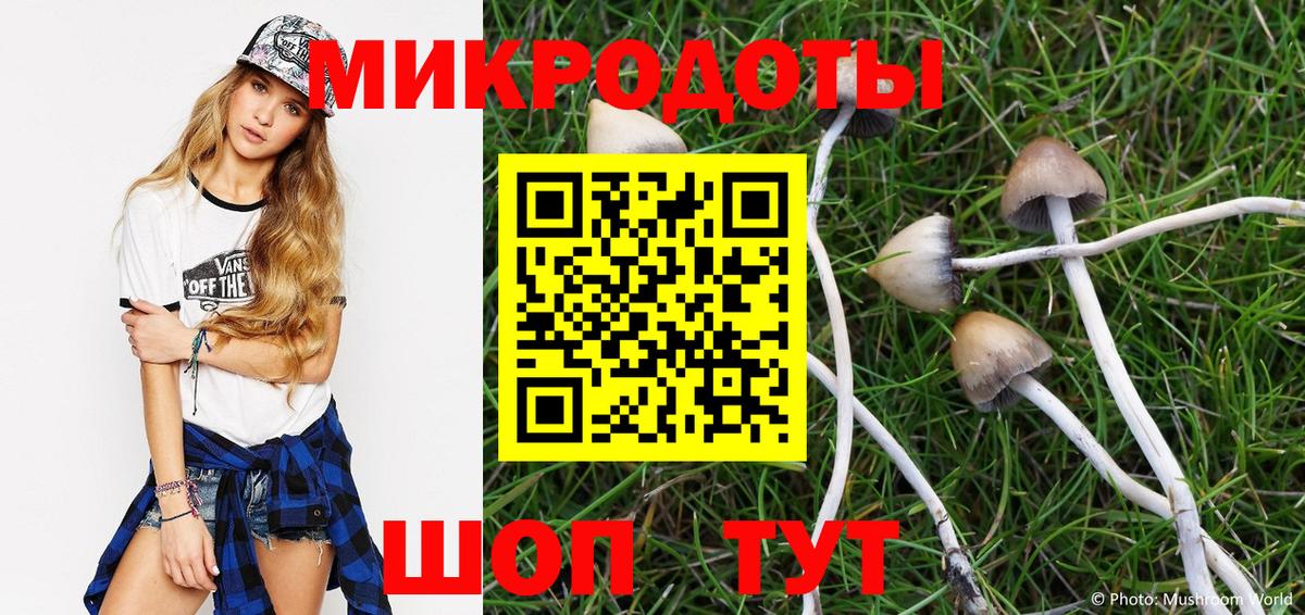 наркошоп  Вход с VPN  Ульяновск  Псилоцибиновые грибы GOLDEN TEACHER  Псилоцибиновые грибы мухоморы 